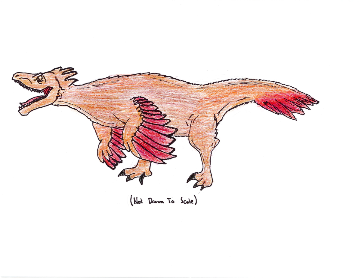 David’s Dinos-Velociraptor