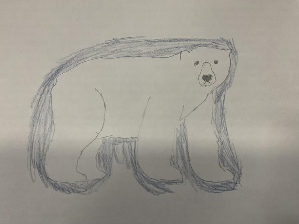 Brian’s Bears