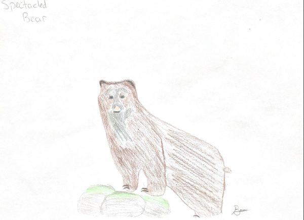 Image illustrated by Brian Ostrander