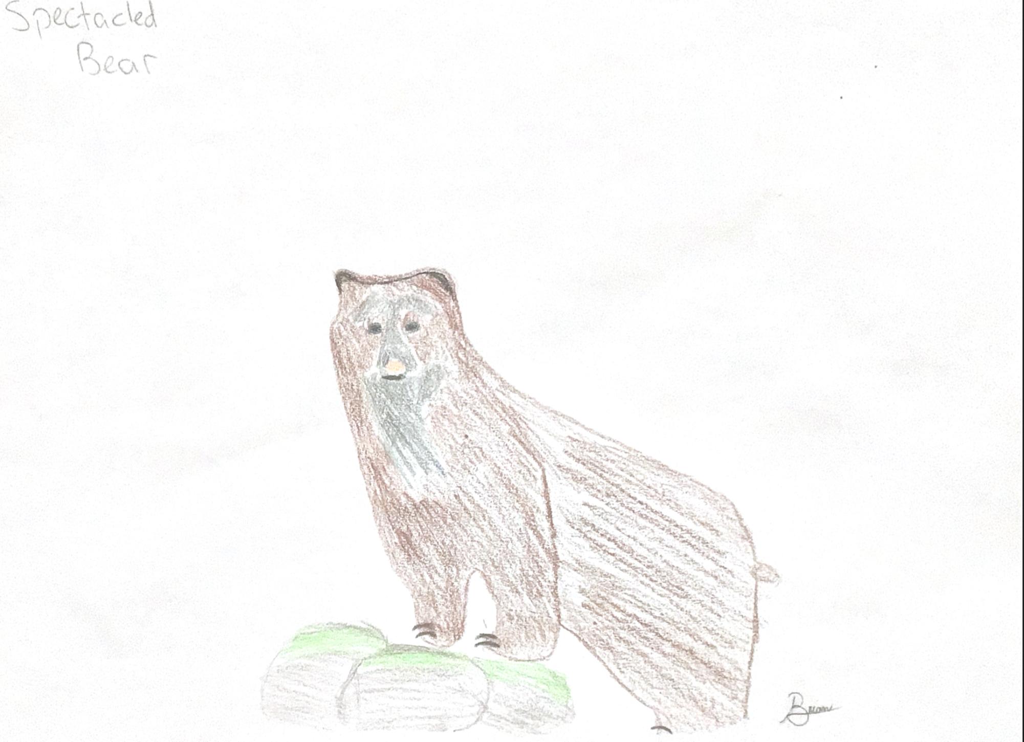 Image illustrated by Brian Ostrander
